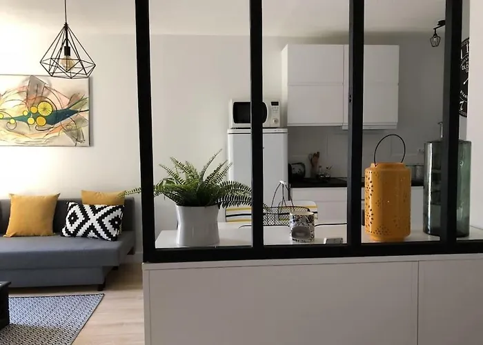 Appartement Design Orleans Classe 3 Etoiles